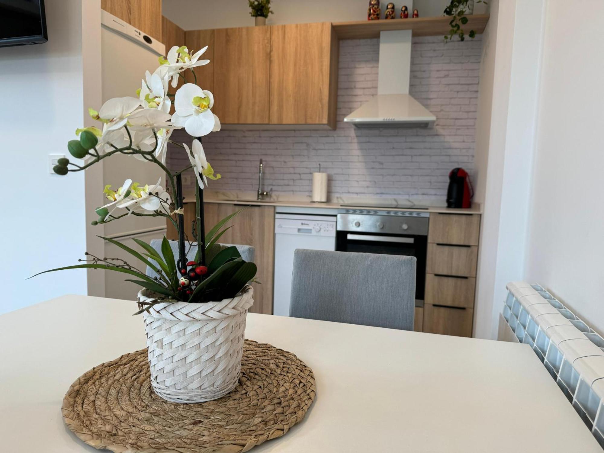 Apartamentos Montejurra Ayegui Екстериор снимка